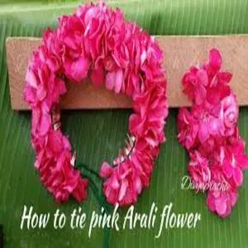 Arali Flowers arali_flowers 10-2667682-87183.webp